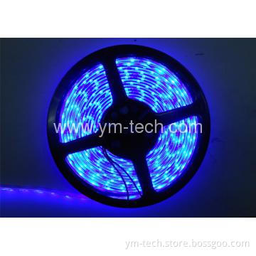 5050 SMD DC12V LED Strip